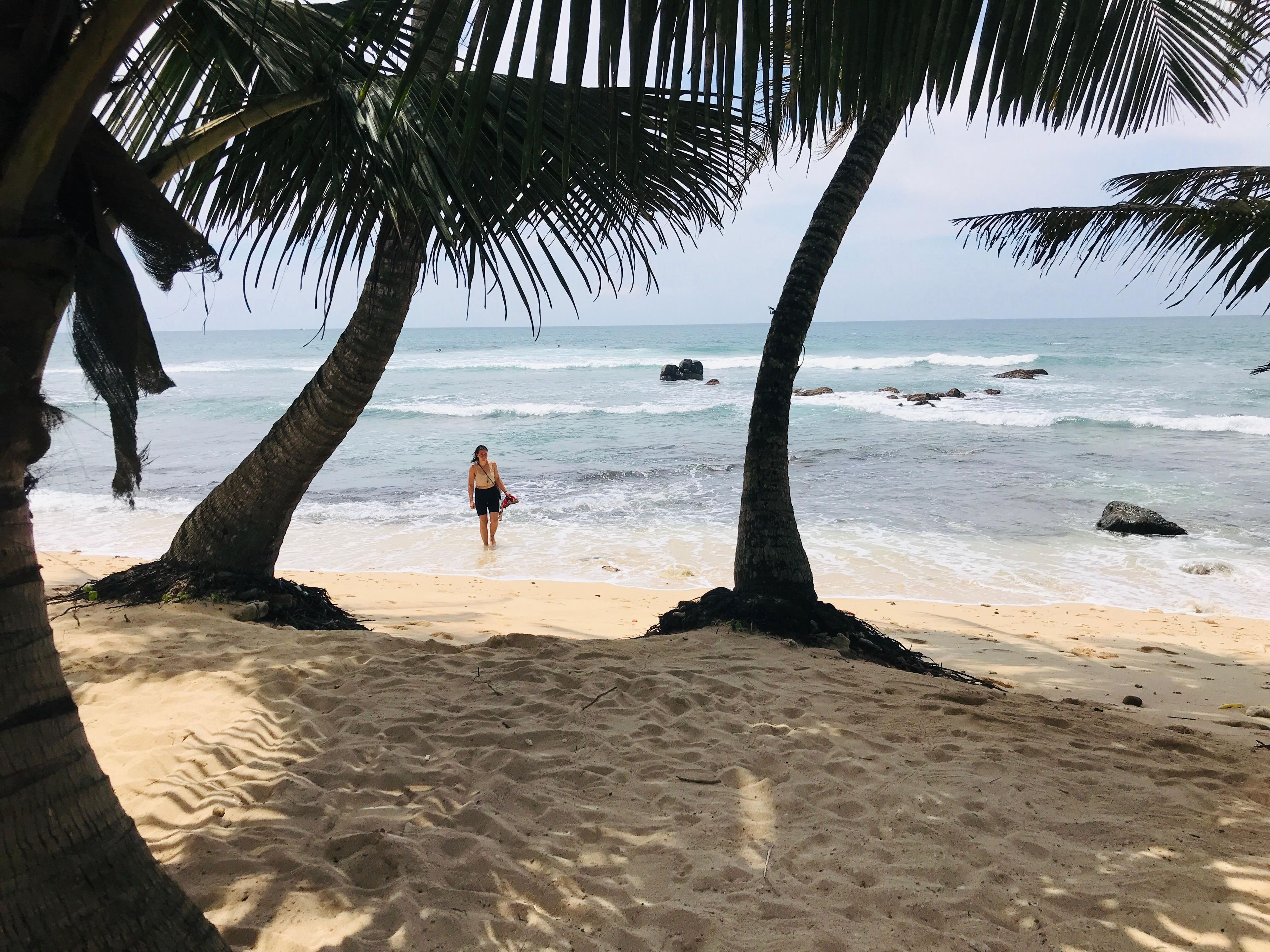 A beach scene with palm trees, a sandy shore, and the ocean.