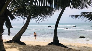 A beach scene with palm trees, a sandy shore, and the ocean. - Surfescape Sri Lanka (Ahangama)