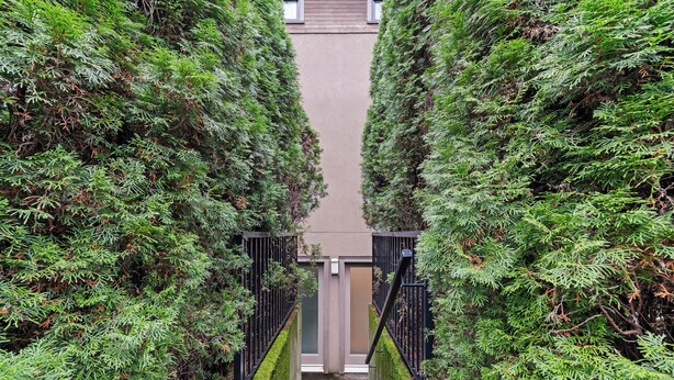 A narrow pathway flanked by tall, green coniferous trees leading to a building entrance with a black metal gate. - Modern, Quiet, Fully Furnished Suite in the Heart of Lower Lonsdale (North Vancouver)