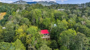 Eine Hütte mit rotem Dach, umgeben von dichtem Wald, vor einer Bergkulisse.