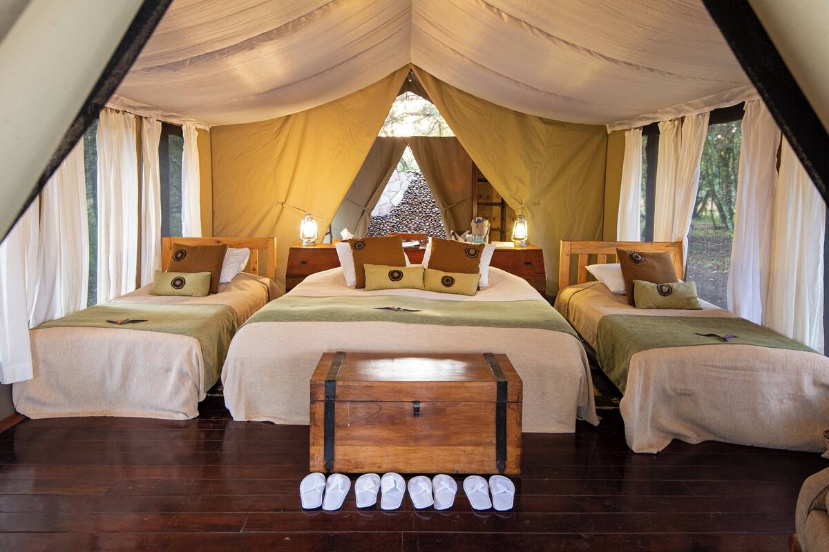A tented accommodation with two beds, a central table, and a view of the outdoors.