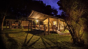Una estructura de carpa rústica con un espacio de estar cubierto, rodeada de árboles y un cielo nocturno estrellado.