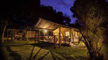 A rustic tented structure with a covered seating area, surrounded by trees and a starry night sky.