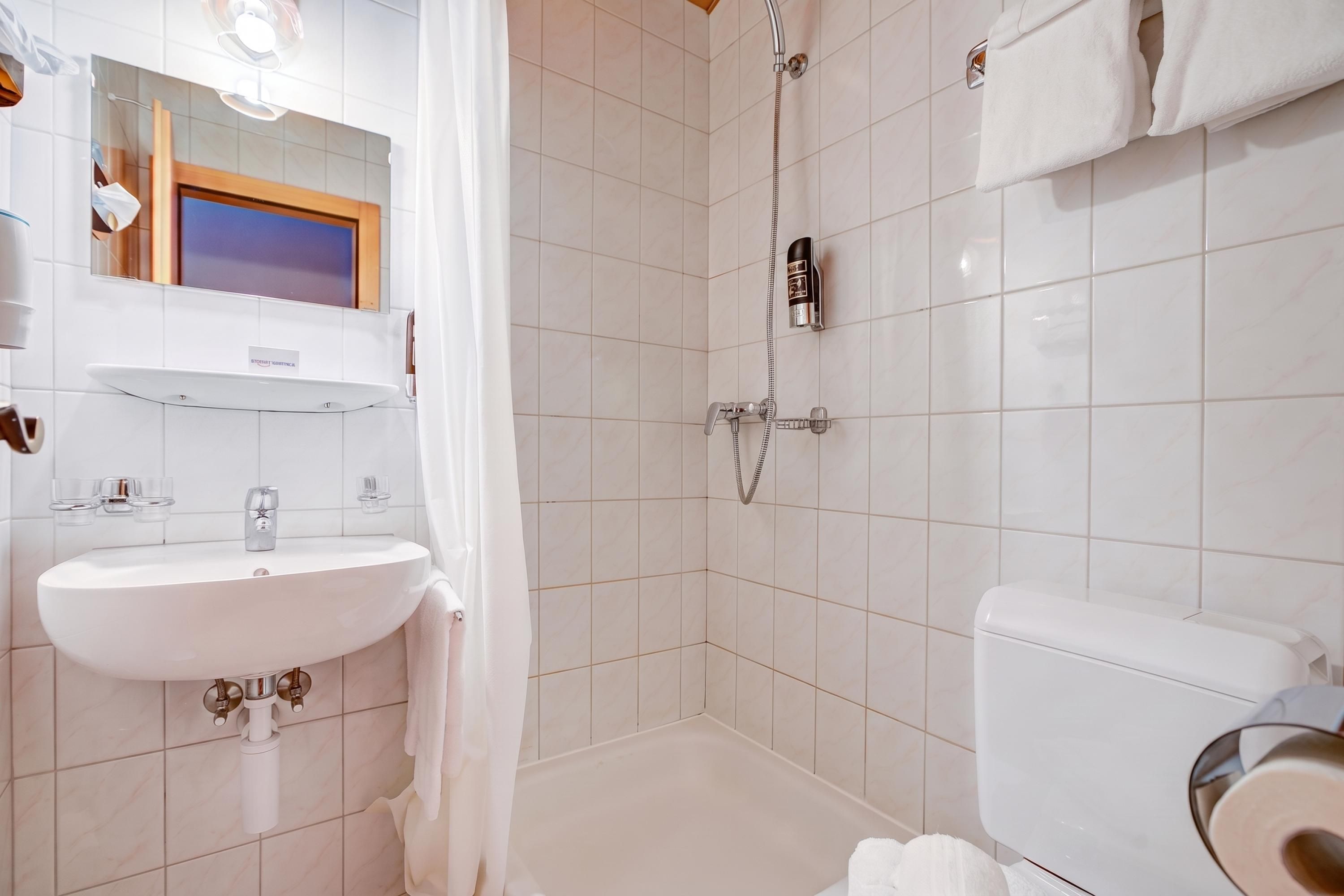 Une salle de bain avec un lavabo blanc, des toilettes et un espace douche.