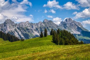 Eine Berglandschaft mit grüner Vordergrund und blauem Himmel.