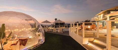 テラス / パティオ