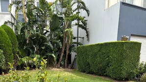A well-maintained garden with a variety of plants, a neatly trimmed hedge, and a paved pathway. - Waterfront 3 bed Townhouse in gated community (Patterson Lakes)