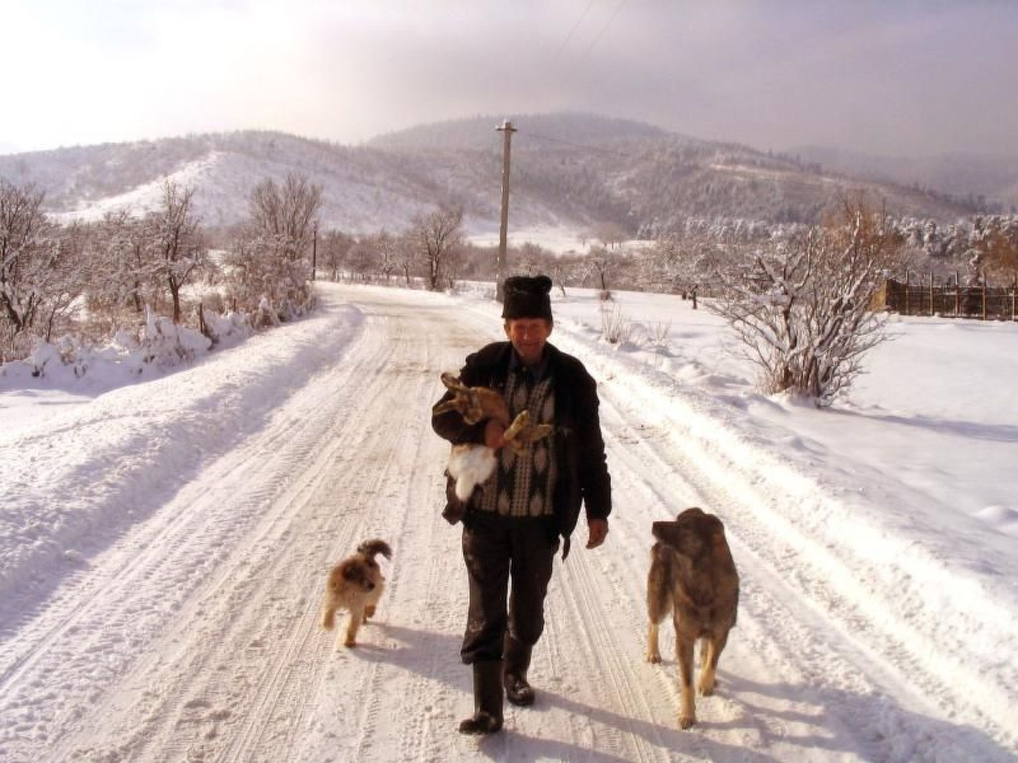 Una persona passeja un gos per un camí cobert de neu, amb arbres sense fulles i turons al fons.