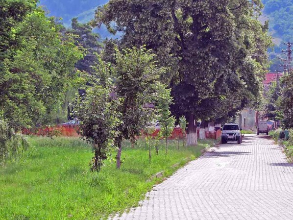 A paved road flanked by trees and a fence, leading to a building with a red roof.
