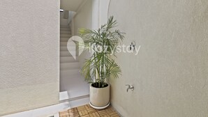 Un coin de pièce avec une plante en pot, une douche et un escalier menant à un autre espace.