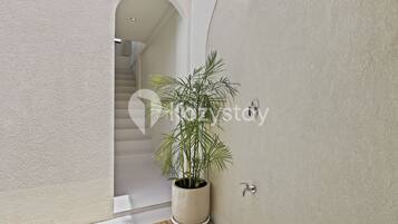 Kolam renang outdoor