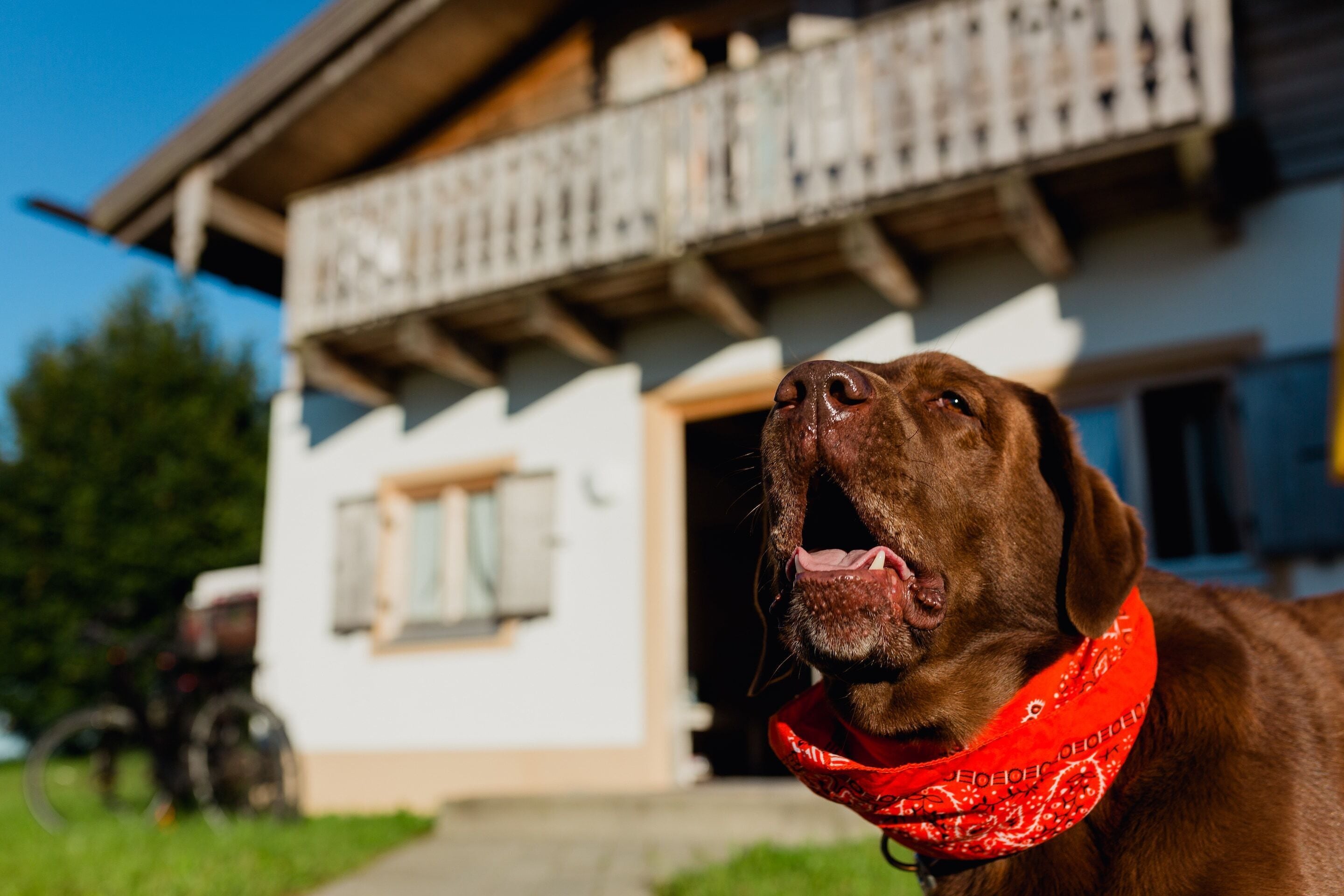 Ferienhaus | Außenbereich