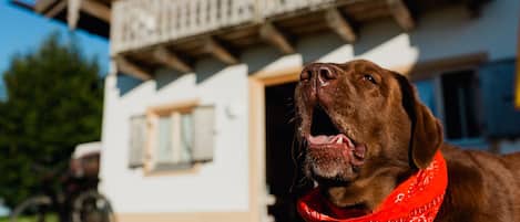 Ferienhaus | Außenbereich