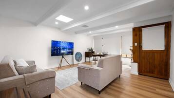 Fernseher, Arbeitsbereiche