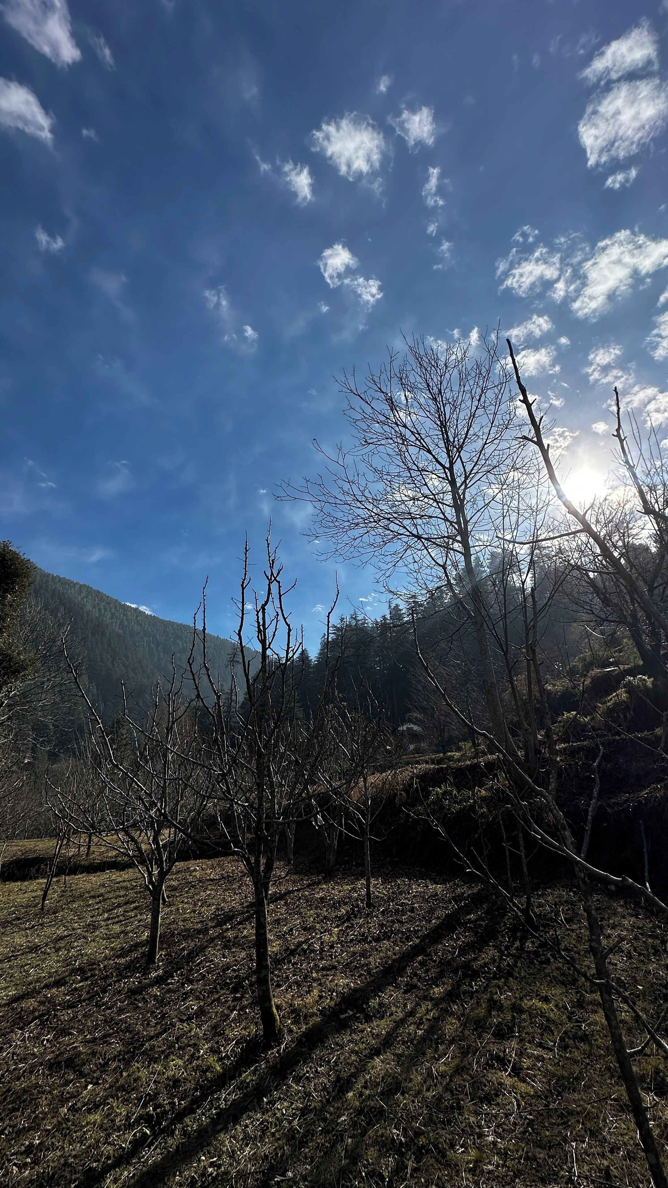 Vistas desde el alojamiento