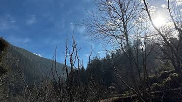 Vistas desde el alojamiento