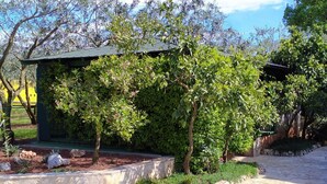 Property grounds - Komfortables Ferienhaus in Sisan by Interhome (Pula/Banjole)
