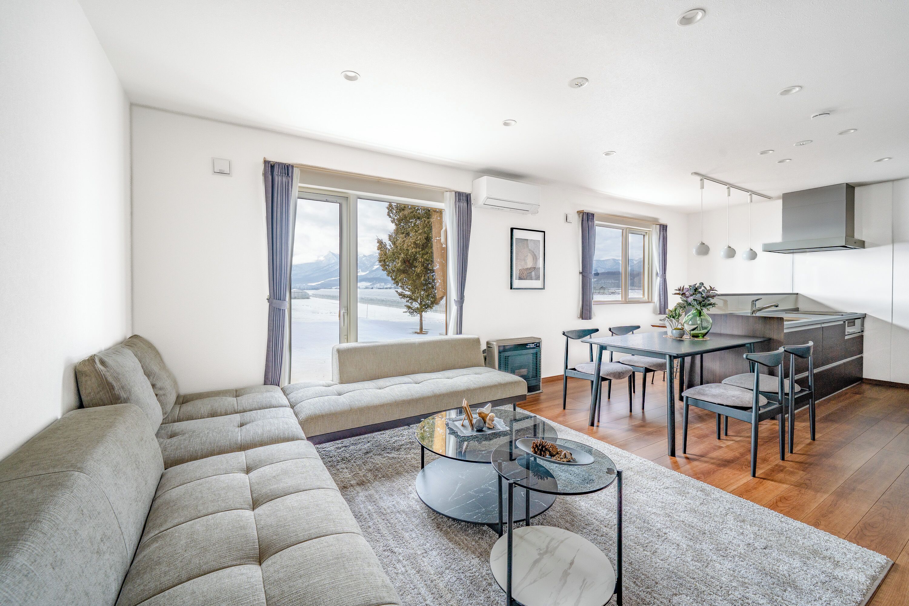 55-inch flat-screen TV with digital channels