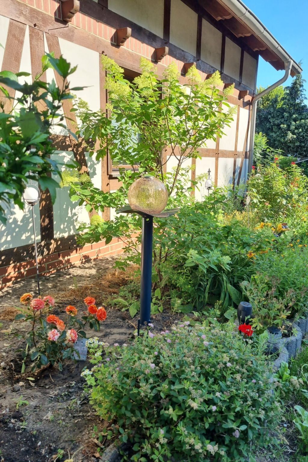 Terrain de l’hébergement 