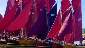 A fleet of sailboats with red sails, some with visible registration numbers, docked in a harbor. - Reetdachhaus am Wasser mit Sauna, Außenwhirlpool by Interhome (Bodstedt)