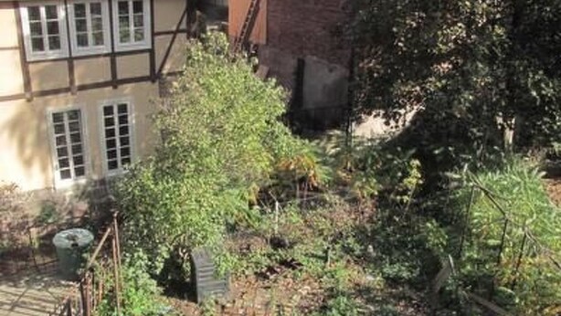 A garden with a wooden fence, a brick wall, and a building with multiple windows.