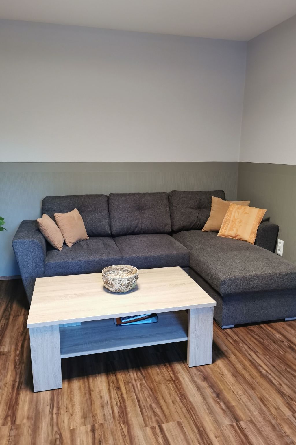 Een televisie en een dvd-speler