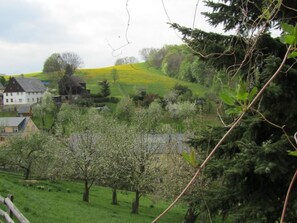 Àrea exterior de l'allotjament