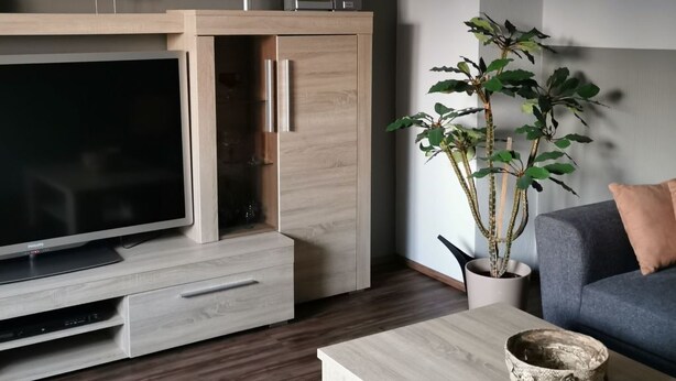 Ein modernes Wohnzimmer mit Flachbildfernseher, Holzunterhaltungseinheit und einer Topfpflanze.