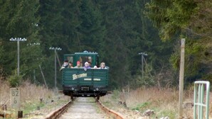 Een groene treinwagon met passagiers, rijdend op een spoorlijn omringd door bomen.