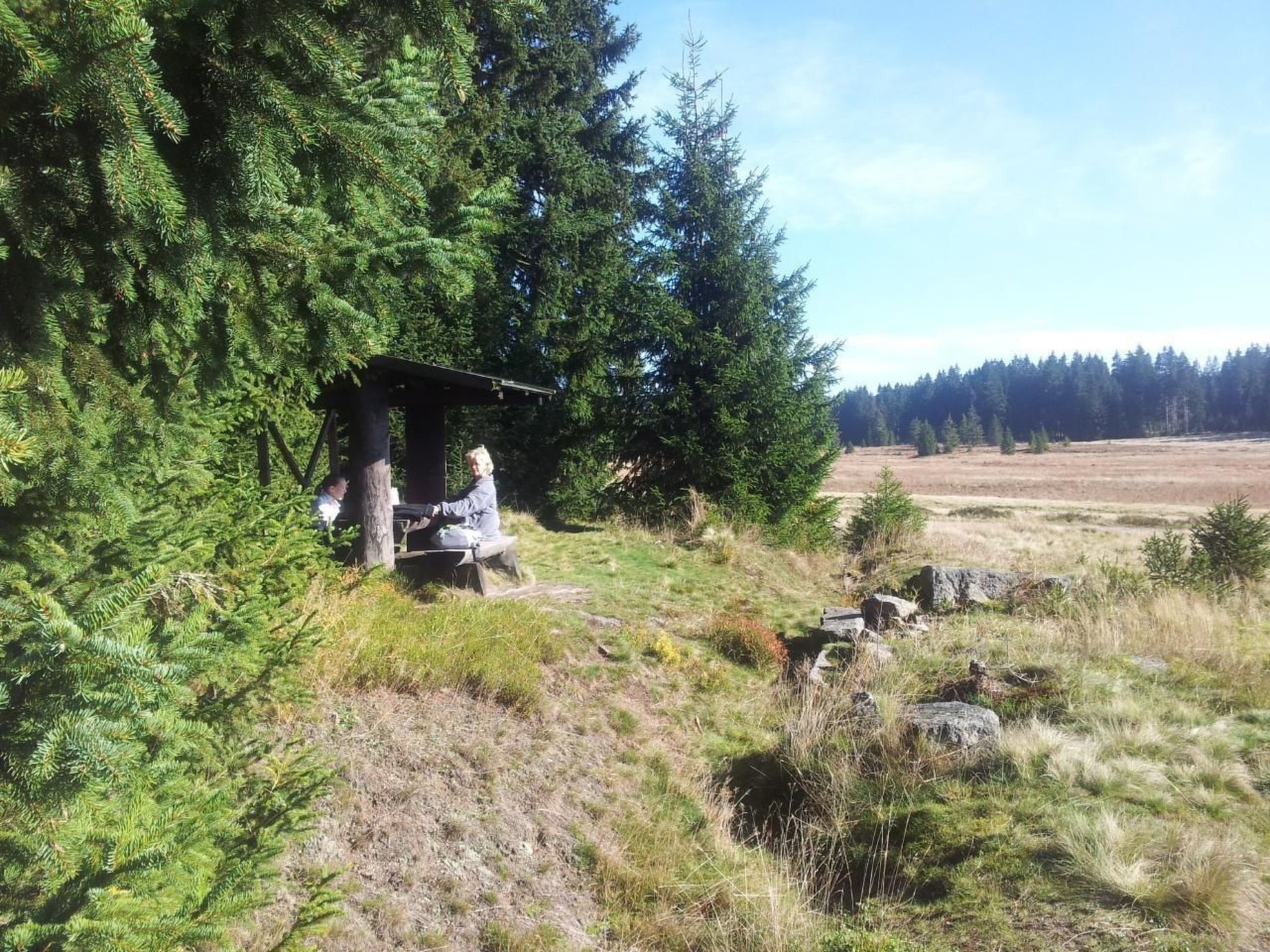 Una estructura de madera rústica con bancos, rodeada por un denso bosque de coníferas y campos de hierba abiertos.