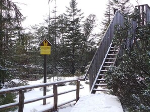 Property grounds - Fewo "Am Skihang EG" by Interhome (Carlsfeld)