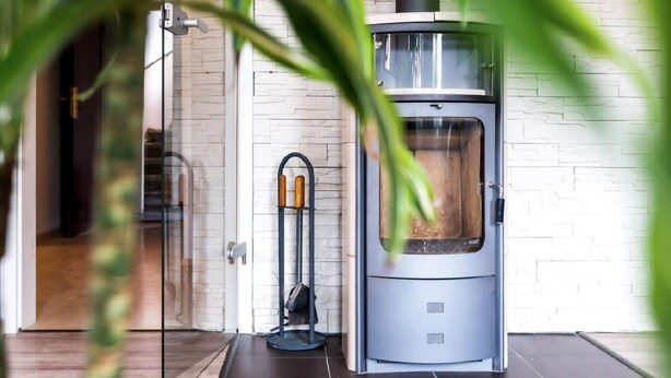 A modern room with a wood-burning stove, a glass door, and a potted plant.