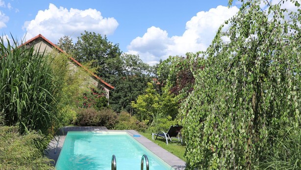 Piscina retangular com escadas de metal, cercada por vegetação exuberante e uma casa com telhado vermelho ao fundo.