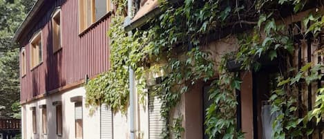 Detalle del exterior