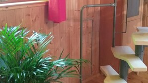 Een houten interieur met een trap, een potplant en een raam met gordijnen.