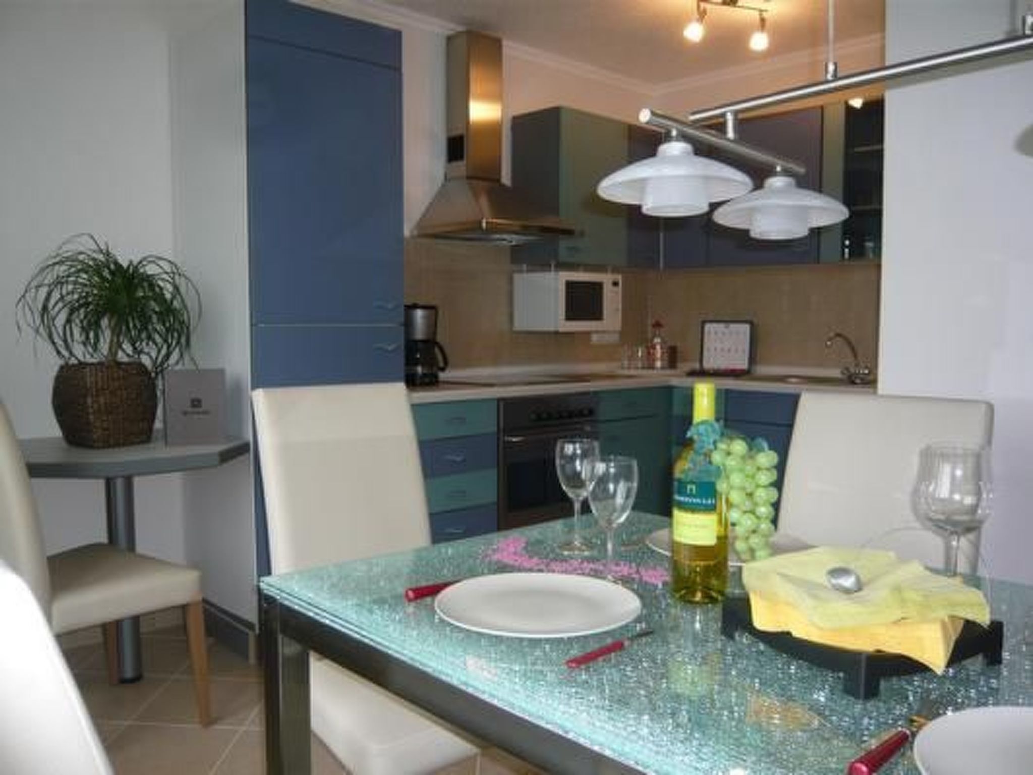 Fridge, dishwasher, cookware/dishes/utensils