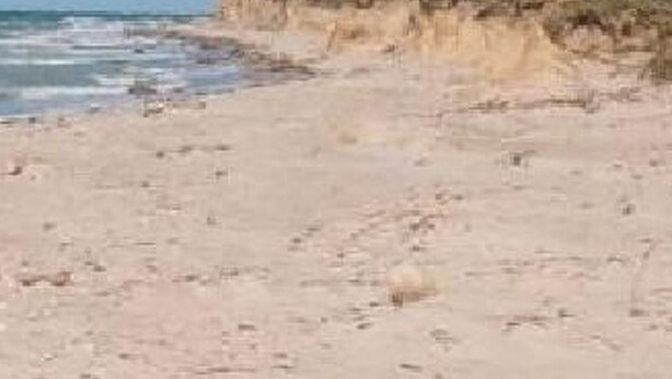 Una playa con arena y un acantilado cubierto de hierba.