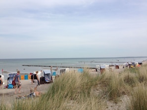 Ein Strand mit gestreiften Liegestühlen und Sonnenschirmen, ein sandiger Uferstreifen und ein ruhiges Meer.