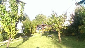 A well-maintained garden with a lawn, a stone wall, and various plants. - Familienfreundliche Wohnung in Vorland mit Garten by Interhome (Grimmen)