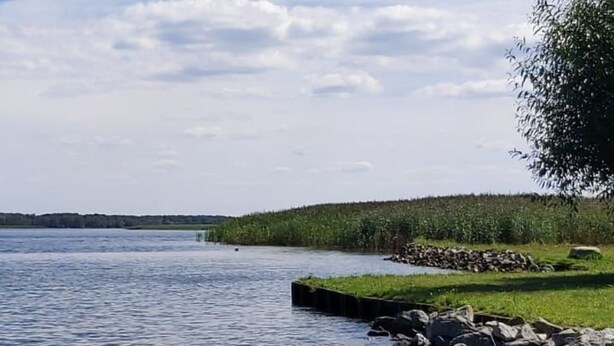 A beach with a calm lake, a grassy area, and a rocky shoreline. - Waldperle by Interhome (Altwarp)