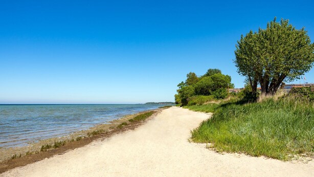 Un sentiero sabbioso che conduce a una spiaggia sotto un cielo azzurro intenso.