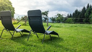 Due sedie da giardino nere su un prato, con una recinzione e alberi sullo sfondo.