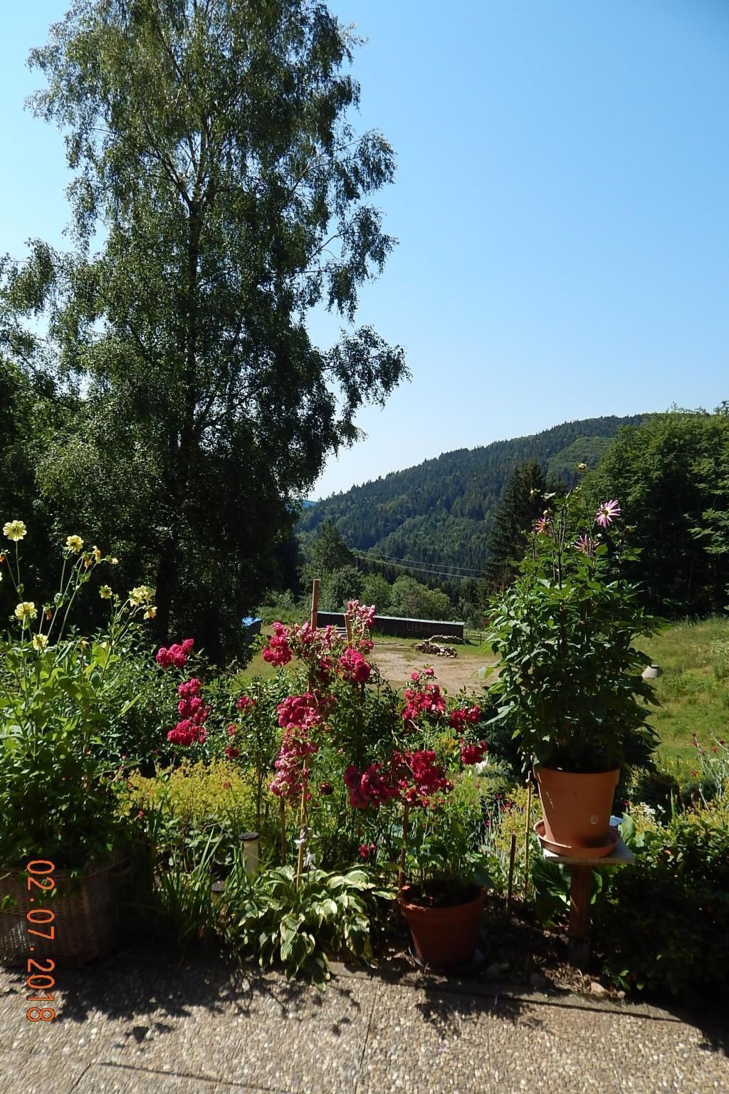 Terrain de l’hébergement 