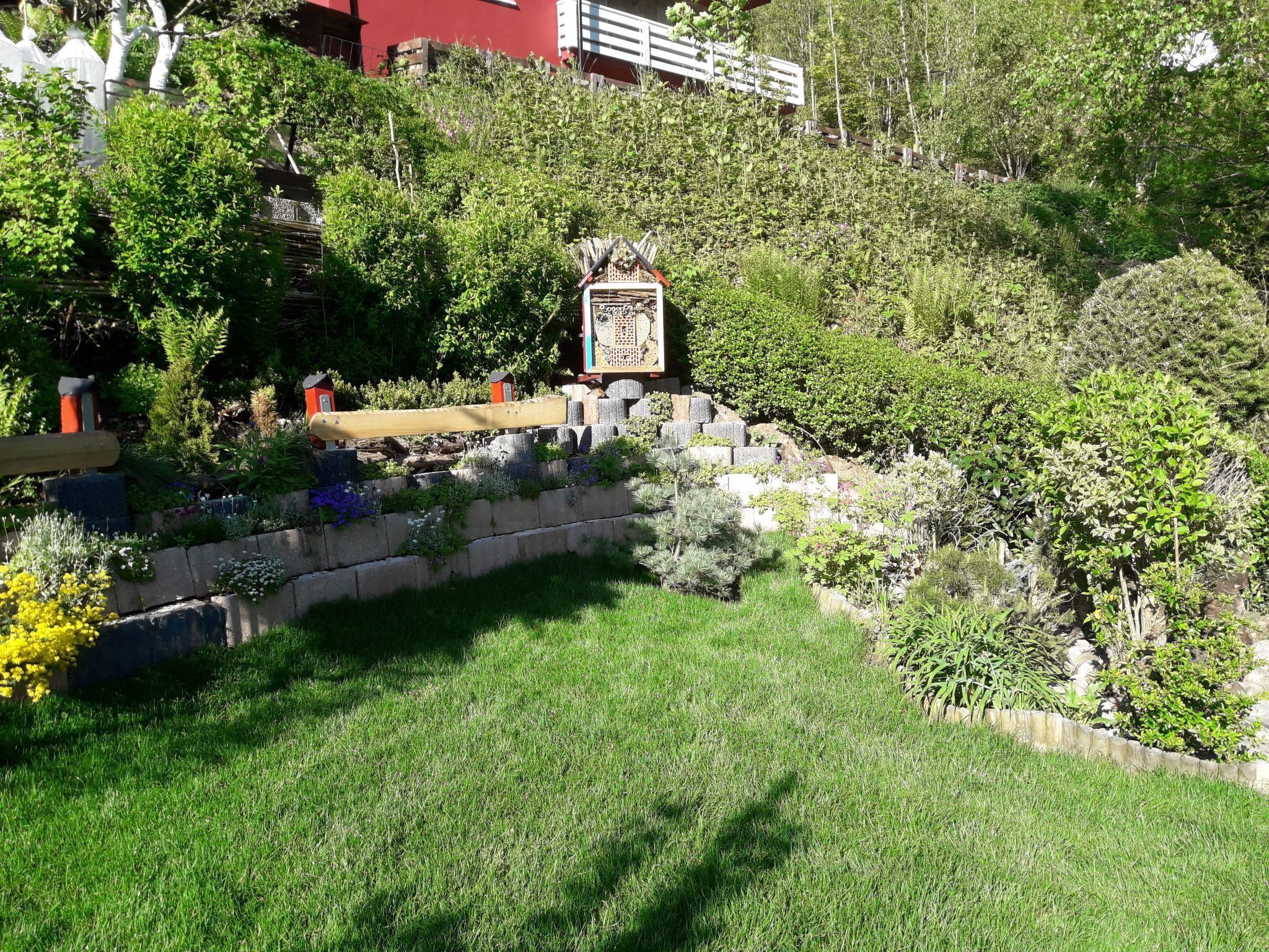 Terrain de l’hébergement 