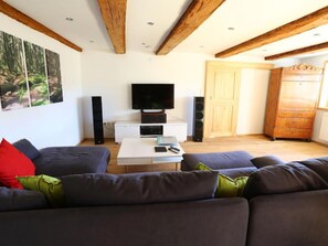 Televisión, chimenea y reproductor de DVD 