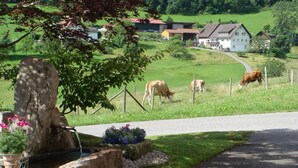 Paisaje rural con vacas pastando, una carretera sinuosa y casas al fondo.