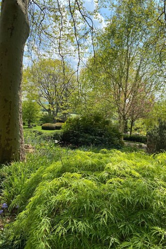 Schöndorf by Interhome