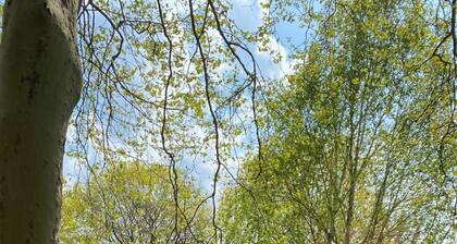 Schöndorf by Interhome