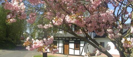 Terrain de lâhĂ©bergement