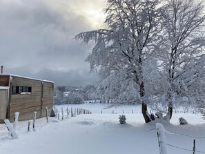 Àrea exterior de l'allotjament